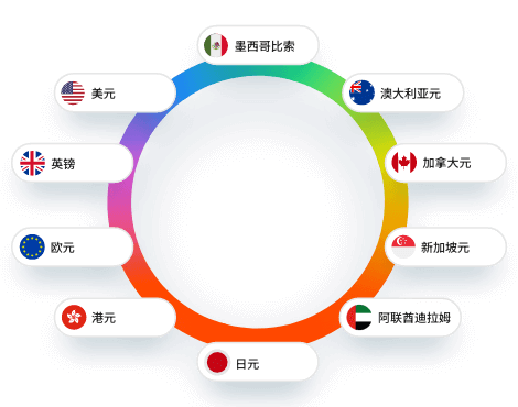 B2B外贸收结汇 - trade collection multi currencies 1 trade collection multi currencies 1